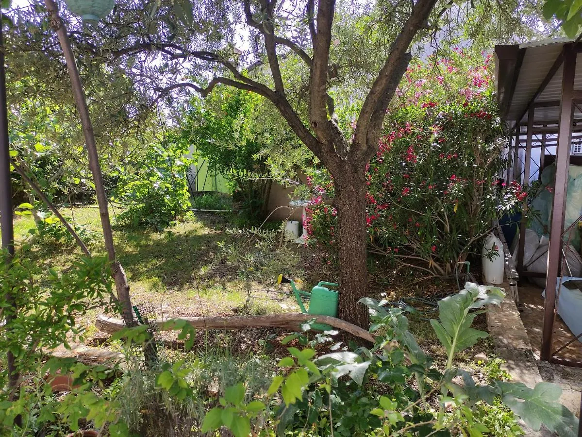 Apartment Valenta Porec